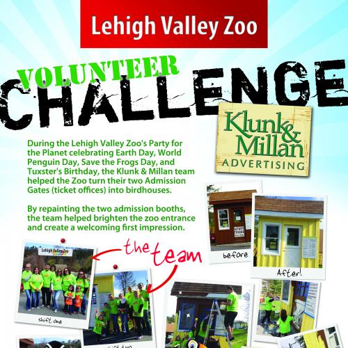 Volunteer Challenge - Zoo Party